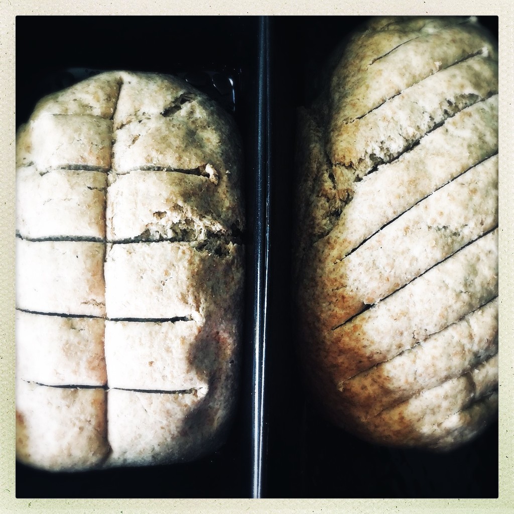 Twin loafs by mastermek