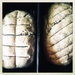 Twin loafs by mastermek