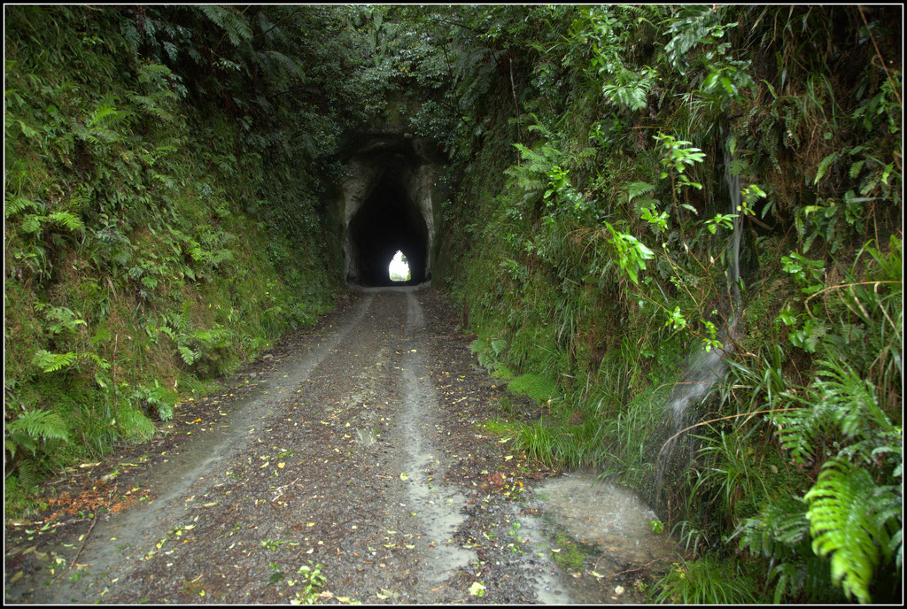 Kiwi Road tunnel by dide