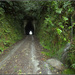 Kiwi Road tunnel by dide