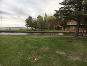 17th May 2018 - Grey Morning at Hubbard Lake