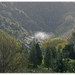 Mohakatino Valley .. Last of the Autumn colour.. by julzmaioro