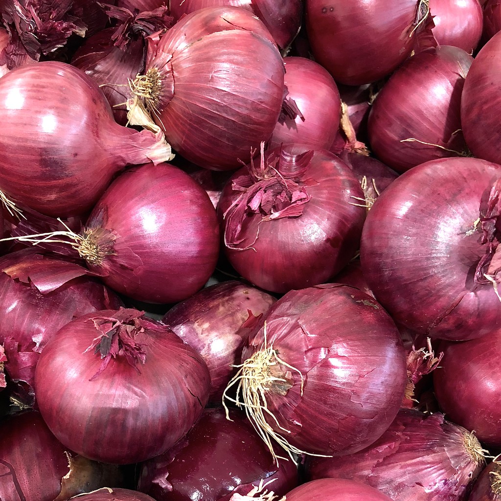 Onions by kjarn