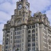 The Liver Building by carole_sandford