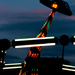 Midway lights  by gq