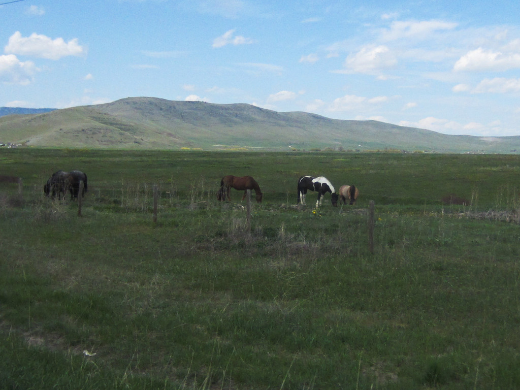 Typical Western Montana Scene by bjywamer