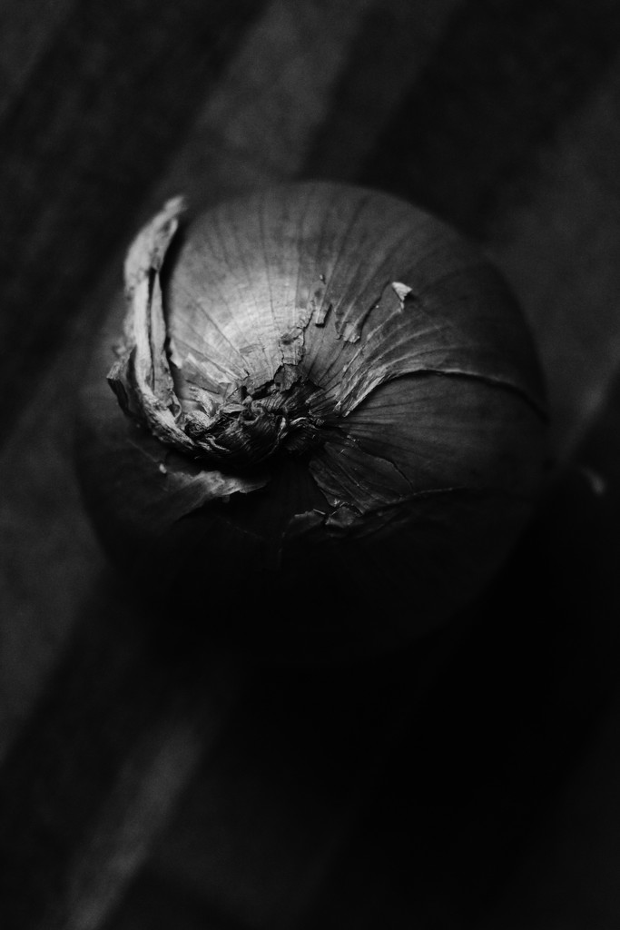 onion skin by wenbow