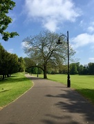 22nd May 2018 - Walking Through The Park
