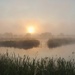 Misty dawn by julienne1