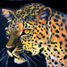 Leopard on Black by jaybutterfield