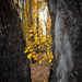 Frame the Autumn by yaorenliu
