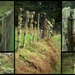 Taranaki fences by dide
