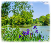 23rd May 2018 - View Across The Lake,Stowe Gardens