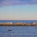 Rocky seascape by kiwinanna
