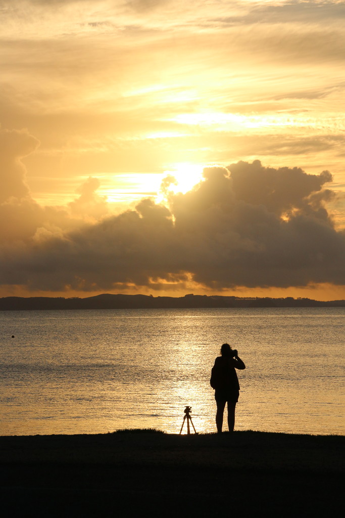 North Island sunset by shepherdman