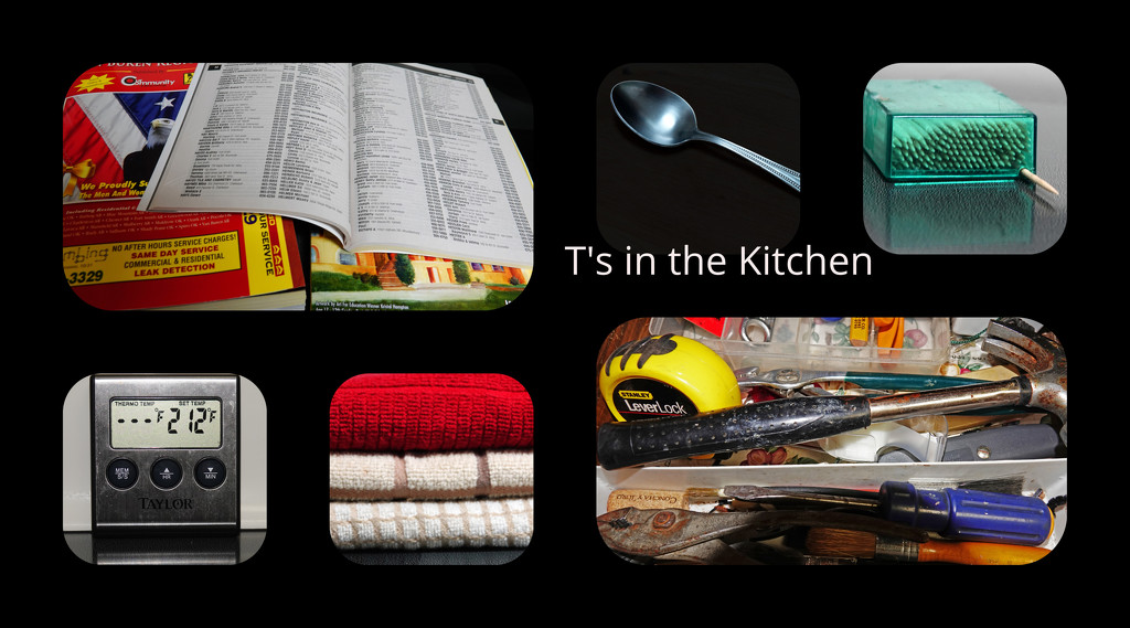 T's in the Kitchen by milaniet