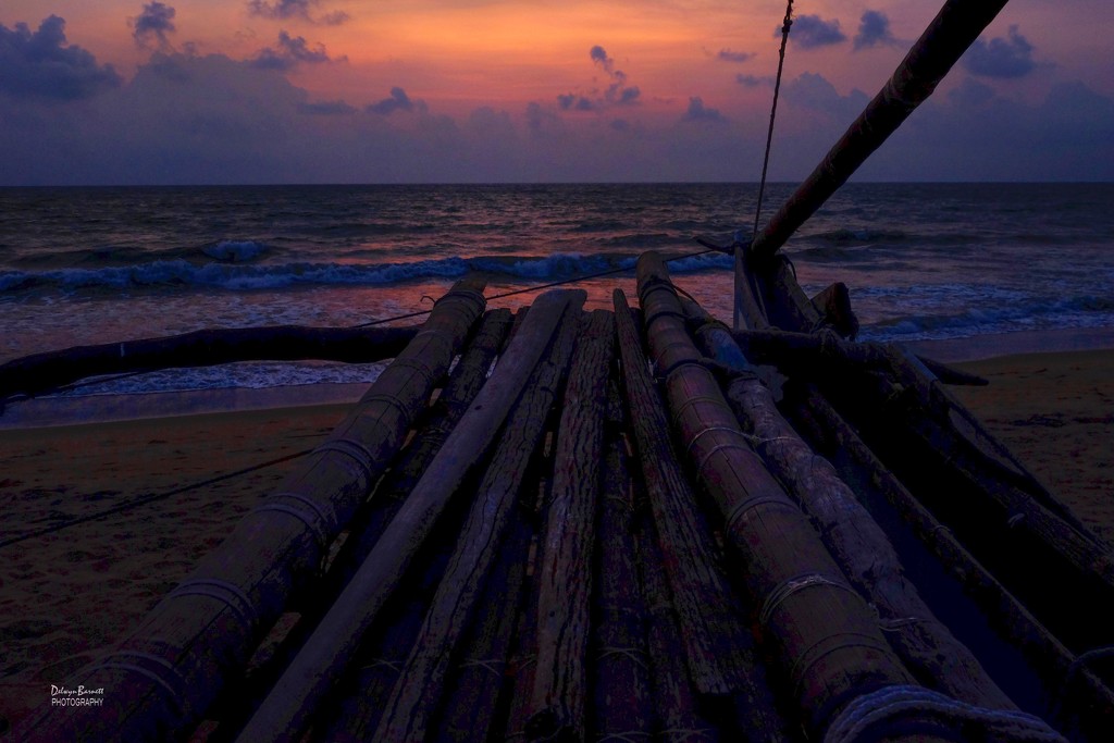 Sunset at Negumbo Beach by dkbarnett