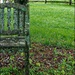 A Chair Under the Tree by olivetreeann