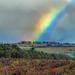 The rainbow by ludwigsdiana