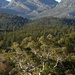  Flinders range NP by judithdeacon