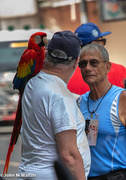 25th May 2018 - Street Scene - Man and Parrot