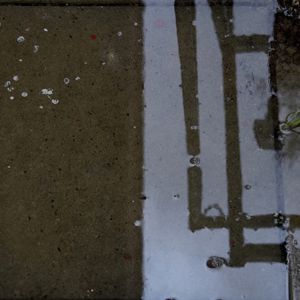 Reflections In A Puddle..._DSC9819 by merrelyn