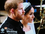 19th May 2018 - Our New Royal Couple