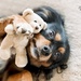 cuddles with teddy... by ulla