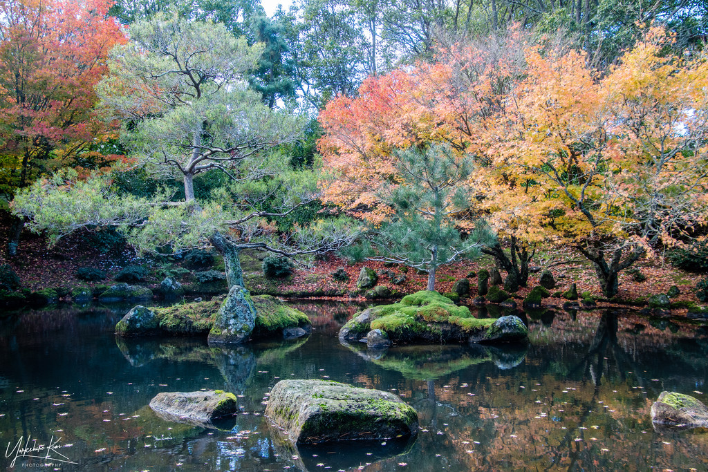 Japanese Gardens by yorkshirekiwi