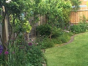 26th May 2018 - The Back Garden in May
