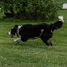 Here's a gif for you, Felicity!! by farmreporter