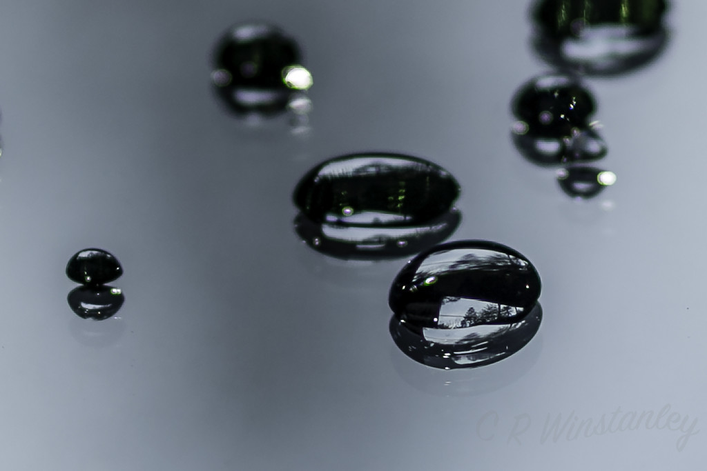 Water Drops by kipper1951