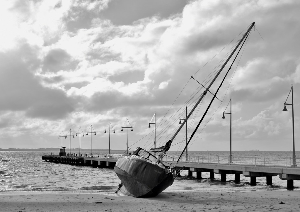 Beached_DSC9846 by merrelyn