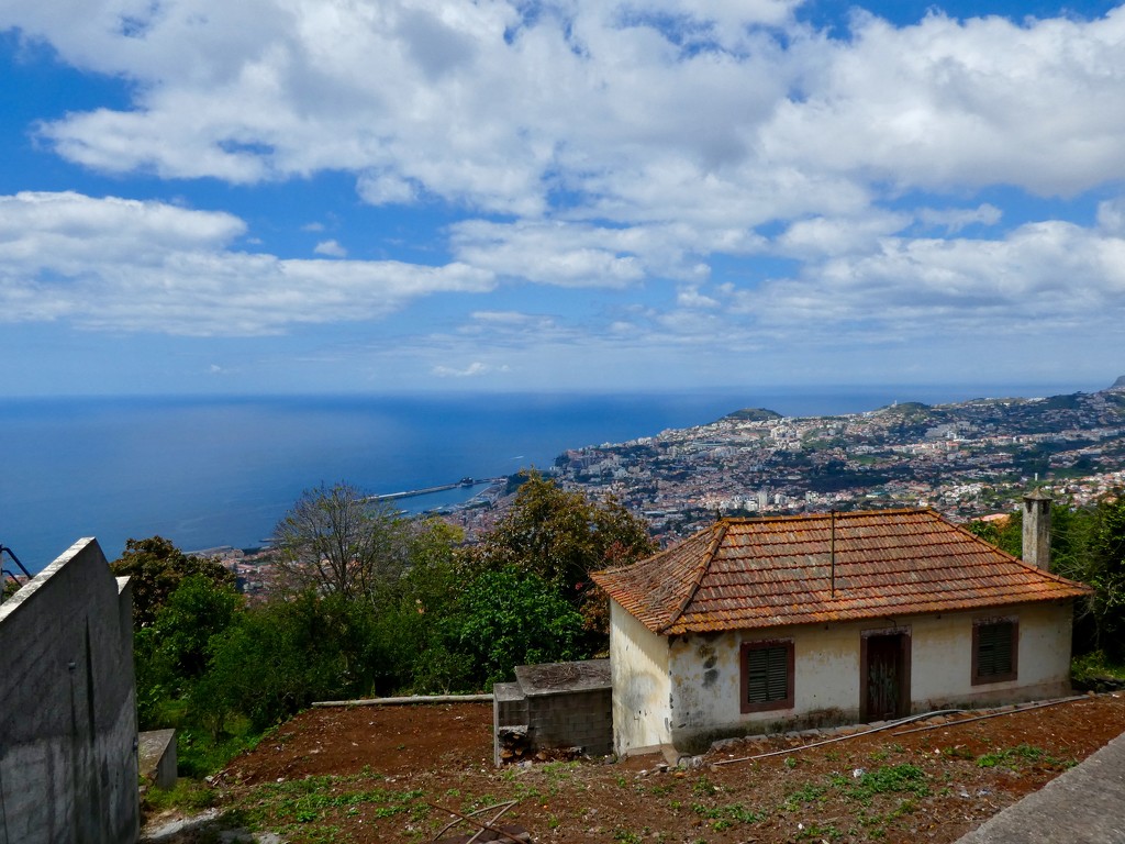 The view over Funchal from my favourite restaurant  by orchid99