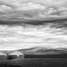 Black and White Silos and Clouds by jgpittenger