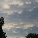 0525_8246 Mammatus Clouds by pennyrae