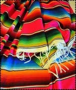 28th May 2018 - Mexican Blanket