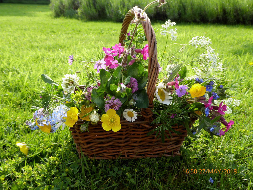Wild flowers, mostly picked from our small orchard. by snowy