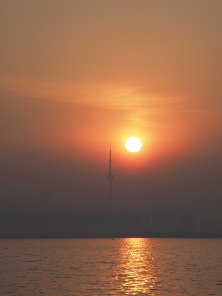 Hazy Morning by selkie