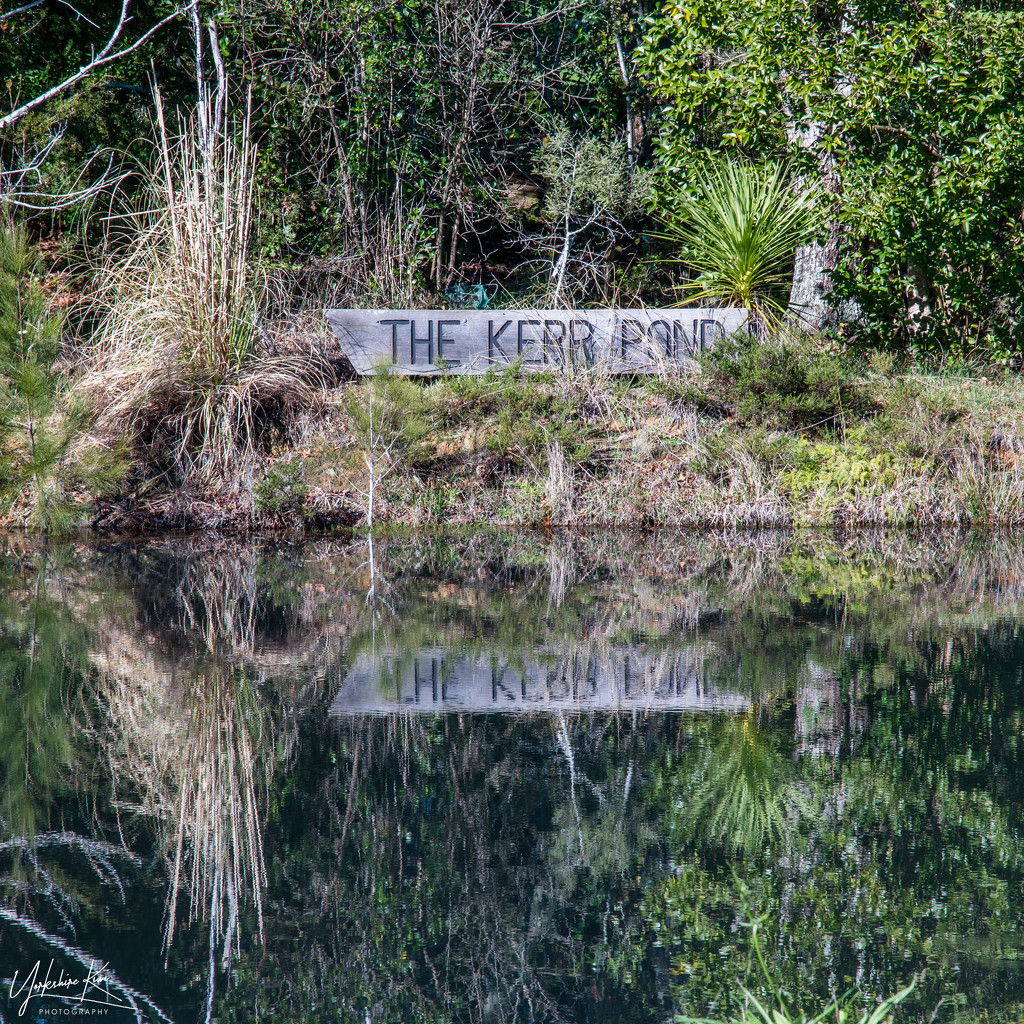 The Kerr Pond by yorkshirekiwi