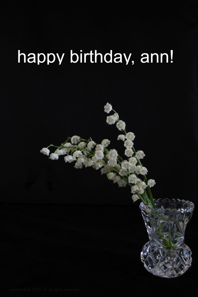 it's ann's birthday by summerfield
