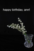 29th May 2018 - it's ann's birthday