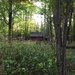 Hidden Cabin by wilkinscd