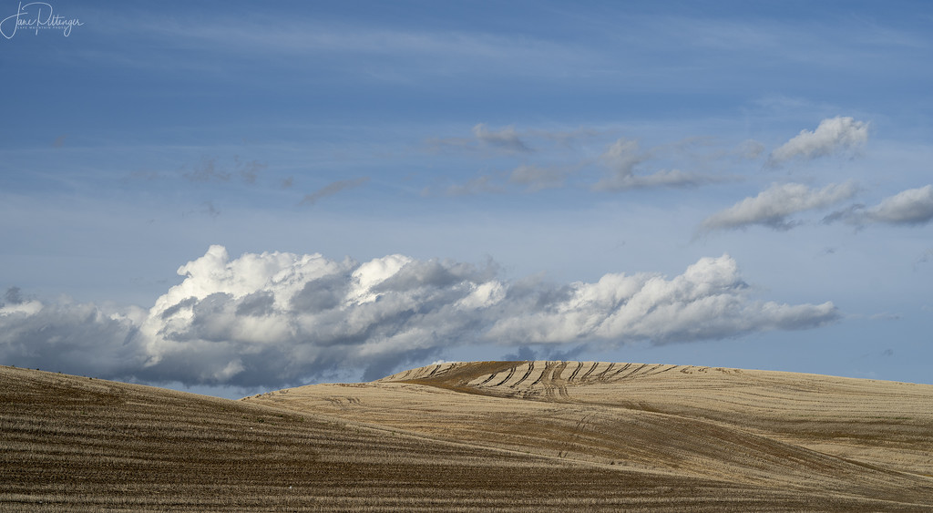 Clouds Hovering Over Newly Plowed Fields  by jgpittenger