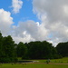 Summer clouds at Hampton Park, Charleston, SC by congaree