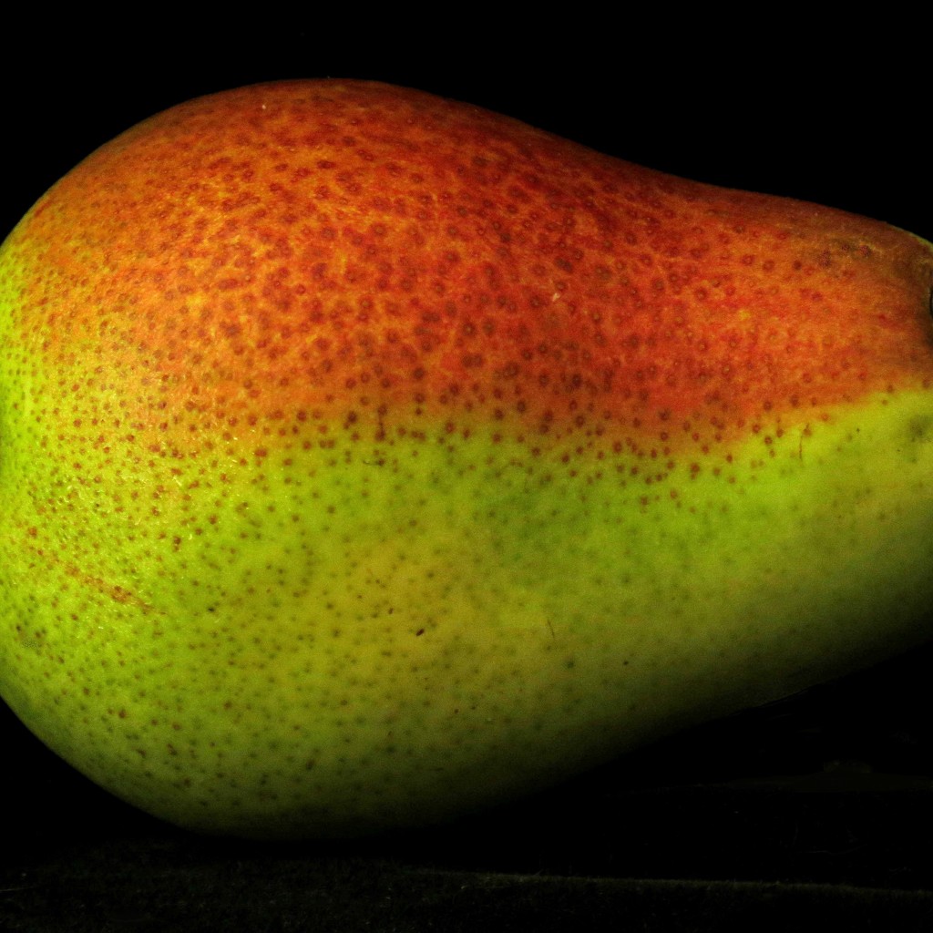 A"pear"ently Half And Half Is Over by grammyn