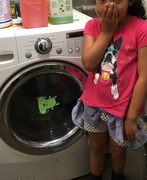 31st May 2018 - knuffle bunny is in the washer!