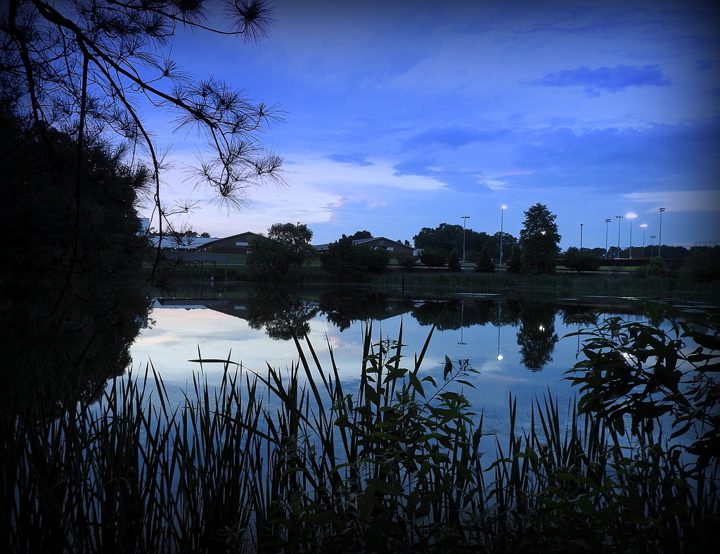 Blue Hour at the Pond by homeschoolmom