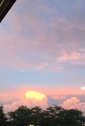 31st May 2018 - Pretty evening clouds