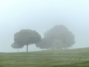 2nd Jun 2018 - Mist across the golf course